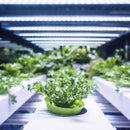 Feit Grow Fixtures LED Hydroponic Grow Light 19 W