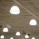 Westinghouse ED37 EX39 (Mogul) Filament LED Bulb Daylight 750 Watt Equivalence 1 pk