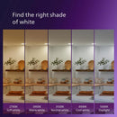 Philips A21 E26 (Medium) LED Bulb Soft White 75 Watt Equivalence 2 pk