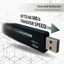 Gigastone Z30 Flash Drive 32 GB 1 pk