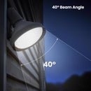 Feit PAR38 E26 (Medium) LED Dusk to Dawn Bulb Color Changing 100 Watt Equivalence 1 pk
