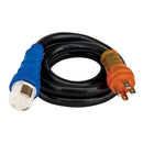 Reliance Controls 6/3 120/240 V 10 ft. L Generator Power Cord