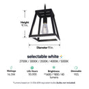 Feit Matte Black 1 lights Pendant Light