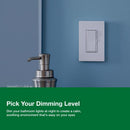 Lutron Diva Gray 150 W 3-Way Dimmer Switch 1 pk