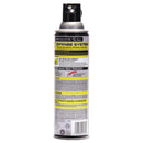 Raid Wasp & Hornet Killer, 14Oz Aerosol - SJN668006