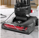Pet Rewind Upright Vacuum - Gray/Red