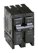 Eaton 100 amps Plug In 2-Pole Circuit Breaker