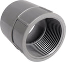 Cantex 3 in. D PVC Female Adapter For PVC 1 pk
