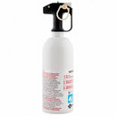 First Alert Fire Extinguisher, Dry Chemical, Sodium Bicarbonate, 2 lb, 5B:C UL Rating - KITCHEN5