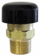 Cash Acme Bronze Vacuum Relief Valve, MNPT Inlet Type, FNPT Outlet Type - 22398-0000LF