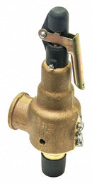 Kunkle Bronze Safety Relief Valve, MNPT Inlet Type, FNPT Outlet Type - 6010EDM01-KM-25