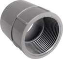 Cantex 2-1/2 in. D PVC Female Adapter For PVC 1 pk