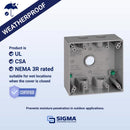 Sigma Engineered Solutions New Work 31 cu in Square Die-Cast Metal 2 gang Weatherproof Box Gray