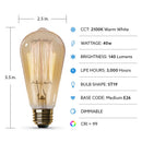 Feit The Original 40 W ST19 Vintage Incandescent Bulb E26 (Medium) Soft White 1 pk, Pack of 6