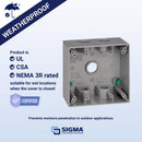 Sigma Engineered Solutions New Work 31 cu in Square Metallic 2 gang Weatherproof Box Gray