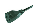 Projex Indoor or Outdoor 40 ft. L Green Extension Cord 16/3 SJTW