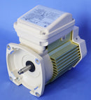 Pentair TEFC Motor 2HP 354815S