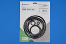 Pentair Pump Seal Kit for Challenger Pump | 356199