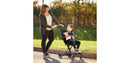 Cruise Rider Stroller with Canopy - Black