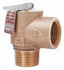 WATTS 6277 Steam Safety Relief Valve 3-1/8 in.