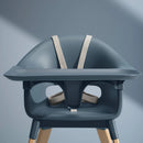 High Chair All-in-One with Tray & Harness - Fjord Blue