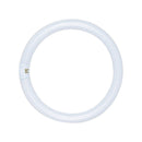 Satco 32 W T9 1.13 in. D X 12 in. L Circline Fluorescent Bulb Daylight Tubular 6500 K 1 pk