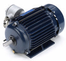 Marathon Motors 1 HP Hazardous Location Motor,3-Phase,1765 Nameplate RPM,208-230/460 Voltage,Frame 143T - 143TTGN6526