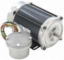 Marathon Motors 1/4 HP Hazardous Location Motor,Capacitor-Start,1725 Nameplate RPM,115/230 Voltage,Frame 48 - 5KC36PNB169