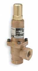 Cash Valve Bronze Adjustable Back Pressure Relief Valve, FNPT Inlet Type, FNPT Outlet Type - 8375-0200