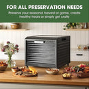 10 Tray Performance Digital Dehydrator
