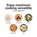 Digital Programmable Rice Cooker & Food Steamer - Stainless Steel