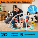 Happy Harvest Touch & Feel Activity Gym