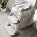Potty Training Seat with 2 Step Ladder - Gray