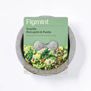 8" Granite Molcajete & Pestle