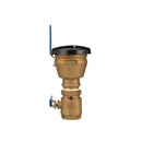 Zurn 2 in. FIP X 2 in. FIP Bronze Pressure Vacuum Breaker Assembly