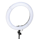 Smith-Victor LED Ring Light (19”)