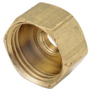 Anderson Metals 3/4 in. Female Hose in. X 1/8 in. D FIP Brass Adapter, Pack of 5