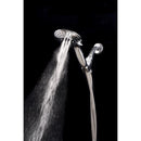 Whedon Blaster Massage Brushed Nickel Plastic 5 settings Handheld Showerhead 2 gpm
