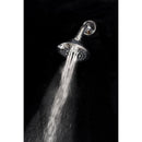 Whedon Blaster Massage Brushed Nickel Nickel 5 settings Wallmount Showerhead 2.5 gpm