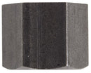 Billco Corporation 1/8 in. FPT Black Steel Cap, Pack of 5