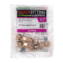 QuickFitting 1/2 in. Press in. Cap in. Copper Cap