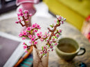 LEGO® Cherry Blossoms – 40725