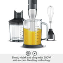 Immersion Blender - Stainless Steel