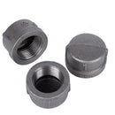 STZ Industries 1/4 in. FIP each Black Malleable Iron Cap