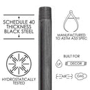 STZ Industries 3/4 in. MIP each X 3/4 in. D MIP Black Steel 9 in. L Nipple