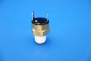 Pentair MasterTemp Pool Heater Automatic Gas Shutoff Switch | 42002-0025S