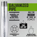 STZ Industries 3 in. MIP each X 3 in. D MIP Galvanized Steel 12 in. L Nipple