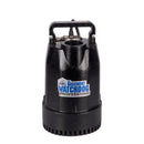 The Basement Watchdog 1/3 HP 3,720 gph Cast Iron Dual Reed Switch AC Backup Sump Pump 10 ft