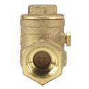 Homewerks 1-1/2 in. D X 1-1/2 in. D FIP Brass Swing Check Valve