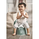 Potty Chair, Green/White
